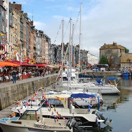 Lovely In Center Honfleur